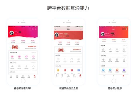 花卷云淘客app，多种解决方案！_花卷云