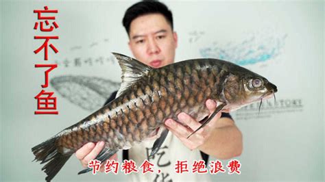 试吃马来西亚第一淡水鱼，忘不了鱼，出锅后翻车了_腾讯视频