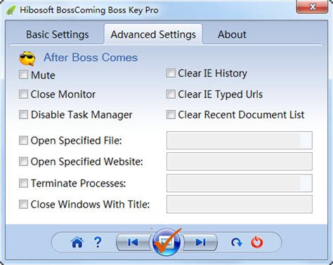 老板键工具(BossComing Boss Key Pro) 图片预览