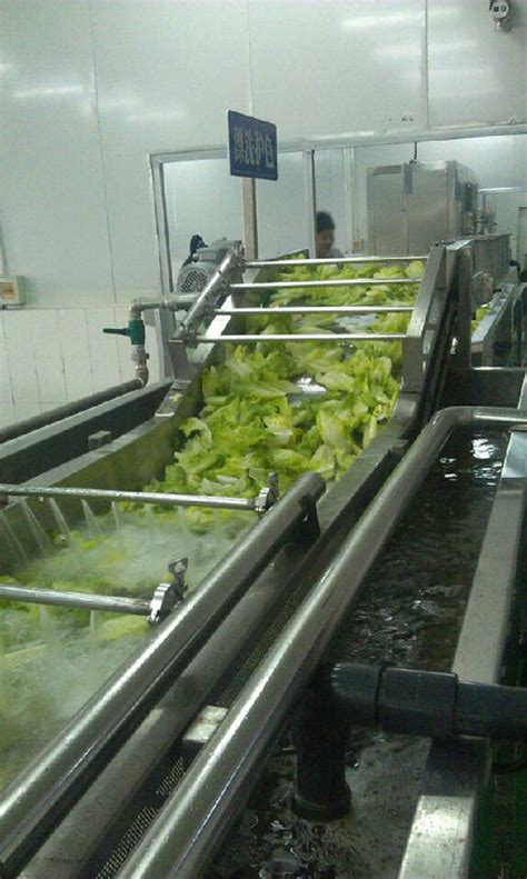 果蔬清洗设备-诸城市鹏启食品机械有限公司