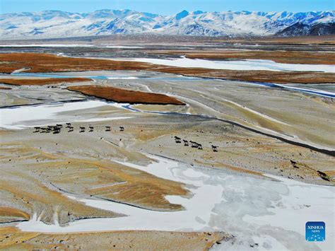 Ecological Progress on Qinghai-Tibet Plateau-- Beijing Review