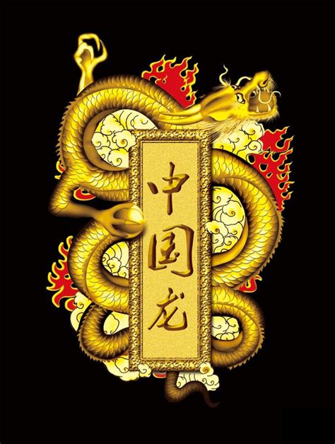 中国龙,式样,对称,龙,传统庆典,灵性,古董,艺术,水平画幅,墙摄影素材,汇图网www.huitu.com