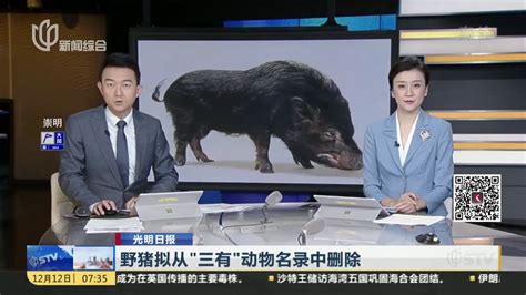 野猪拟从“三有”动物名录中删除_凤凰网视频_凤凰网