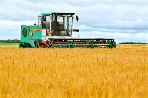 全国大规模小麦跨区机收全面展开 日收超400万亩 - 大美公社 - 新湖南
