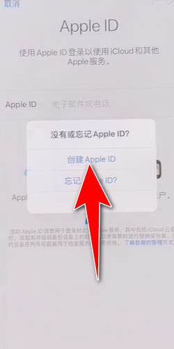 苹果id注销后还能重新注册 - 众奇网