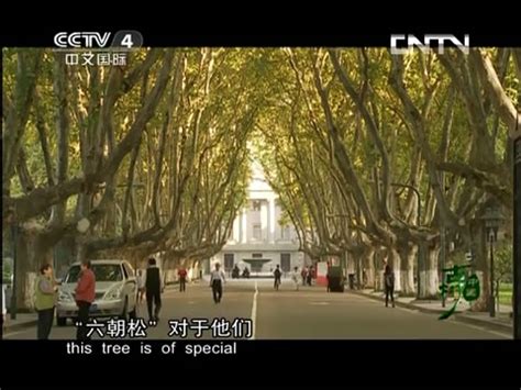 CCTV－4 中文国际频道主持人：栗忠民|栗忠民|新闻奖|栏目_新浪新闻