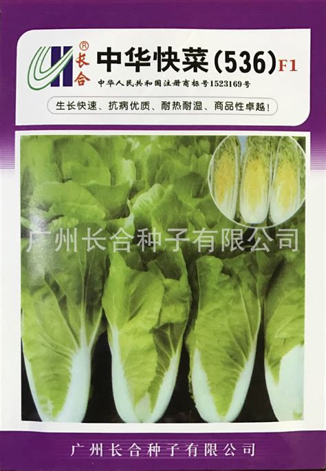 儿菜种子儿菜籽蔬菜种子批发菜种菜籽菜种子公司-阿里巴巴