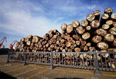 2020年中国木材产量、进出口情况及发展趋势分析，木材进口风险不断增加「图」_趋势频道-华经情报网
