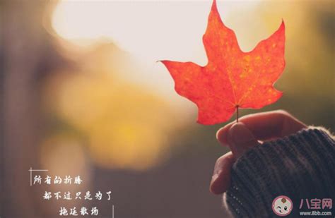 感慨的图片