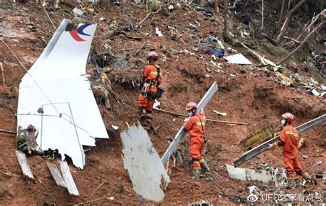 空难唯一幸存者：17岁少女三千米高空坠落，奇迹般穿越亚马逊雨林