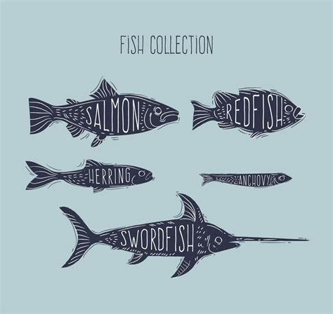 50种鱼类名字及图片（最常见的50种食用鱼介绍）-四得网