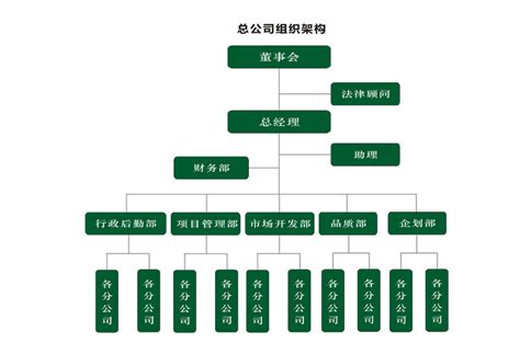 公司组织架构 - 深圳市怡盛华物业发展有限公司