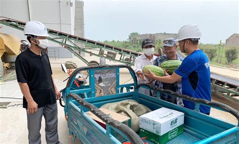 农业公司收粮一线“送清凉”安徽省华阳河农场