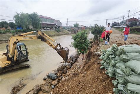 镇村干部携手志愿者加固水毁河堤-宁乡要闻-长沙晚报网