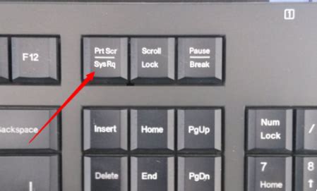 电脑截屏的快捷键是什么,小鱼教您如何快速截取_常见问题_小鱼一键重装系统官网