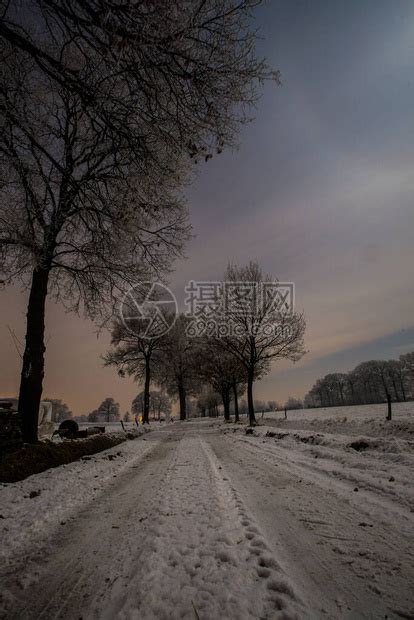 明月下的冬夜雪景高清图片下载-正版图片506480036-摄图网