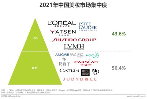 2020年中国本土及国际美妆护肤品牌及营销现状研究报告