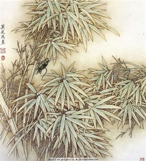 万寿竹又名富贵竹，文人雅士最爱的观赏性植物，又是一味常用本草视频