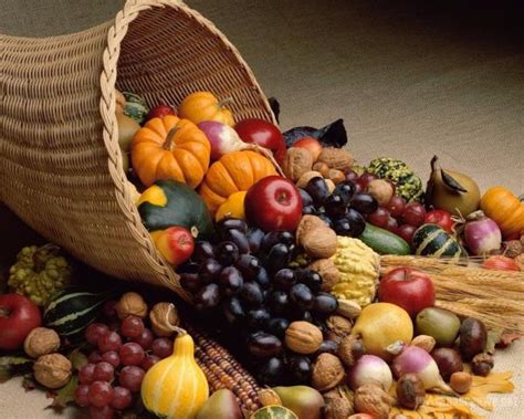 盘点十大适合秋天种植的蔬菜-三农信息网