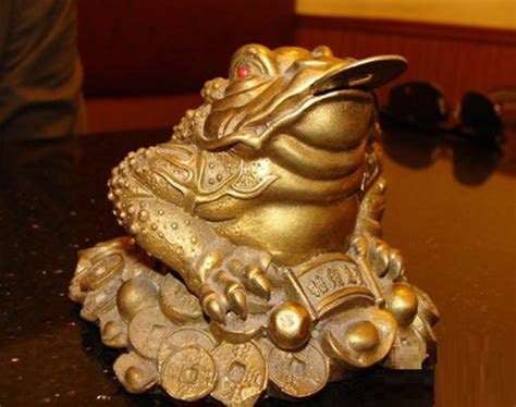 活金蟾图片