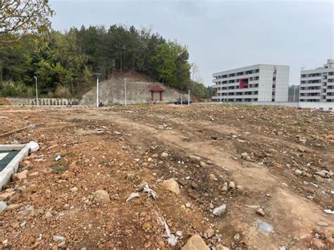 绵阳市涪城区自然资源局工作人员在青义镇踏勘2023森林督查第一批下发图斑_www.isenlin.cn