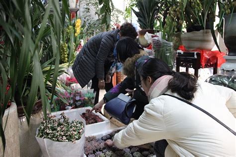铜仁碧江区：新春临近 花卉市场迎来销售热潮-当代先锋网