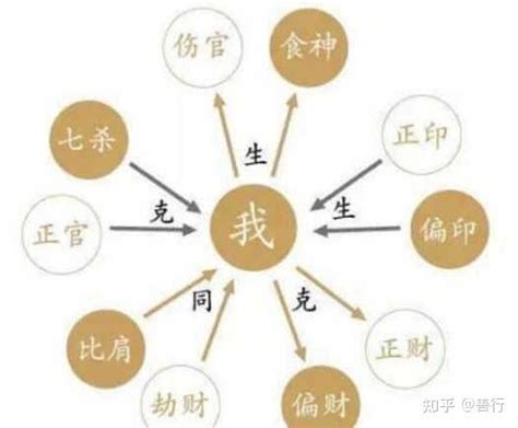 十神表查询图图片