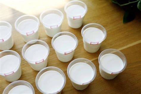 【日期新鲜】伊利金典纯牛奶 250ml×12盒/箱 纯牛奶 儿童成人营养早餐纯牛奶