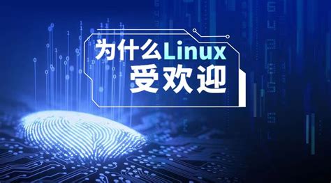 Linux BSP开发实践指南 - LinuxPack