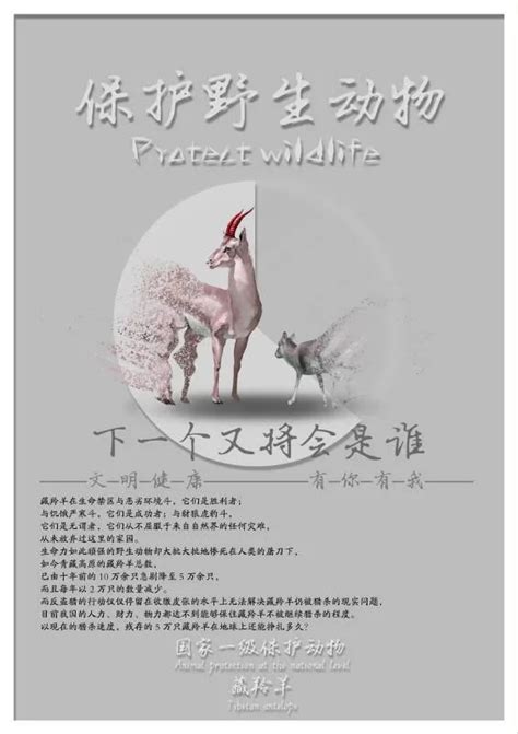 黑龙江“文明健康 有你有我”公益广告征集作品展示（二）_澎湃号·政务_澎湃新闻-The Paper