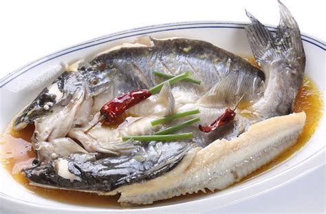鮰鱼是什么鱼 鮰鱼的营养价值和美食做法→MAIGOO知识