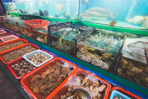 休渔期也能买到便宜海鲜！接下来一个月吃虾很划算！-新闻中心-温州网