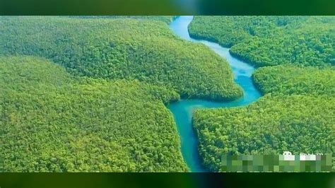 亚马孙河（英语：Amazon River；葡萄牙语：… - 高清图片，堆糖，美图壁纸兴趣社区
