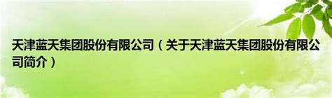 天津蓝天集团股份有限公司（关于天津蓝天集团股份有限公司简介）_环球科创网