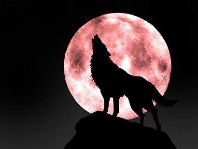 黑夜传说3：狼族再起-更新更全更受欢迎的影视网站-在线观看