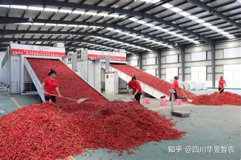 工业辣椒图片