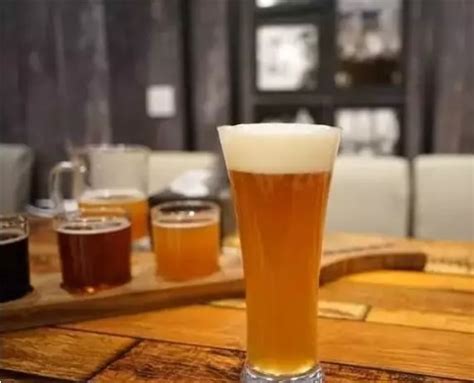 精酿啤酒设备厂家聊聊啤酒发酵度是什么？ - 行业新闻 - 山东豪鲁啤酒设备有限公司