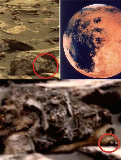 重磅！火星上发现第一个液态水湖 水温零下90华氏度_手机新浪网