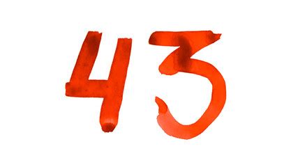 43 RACE NUMBER DECAL / STICKER b