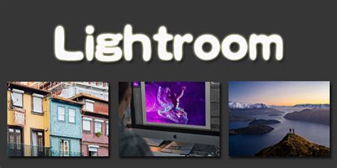 lightroom安卓版下载-adobe lightroom手机版-lightroom修图软件下载最新版-腾牛安卓网