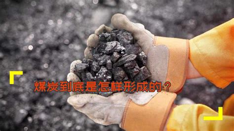 煤炭到底是怎样形成的？