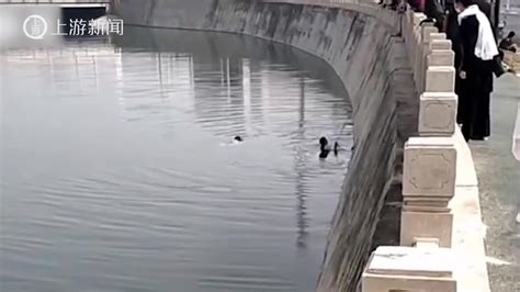 老人坠江被冲向取水口 危急时刻他们赶到了…_凤凰网视频_凤凰网