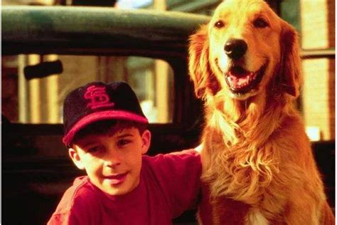 最好看的狗狗电影排行榜 一条狗的使命相当经典值得一看 - 电影