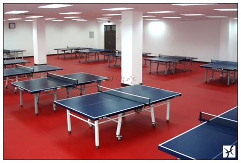 pvc地板-乒乓球场地板--湖南长沙迈乐体育