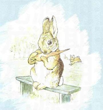 身边围绕着幽灵兔子的幽鬼兔插画图片 | BoBoPic