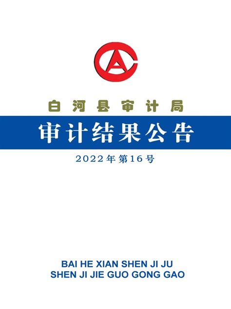 白河县审计局2022年16号公告-白河县人民政府