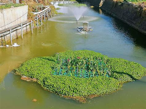 鄱阳湖五河及湖区生态水利综合治理关键技术及示范