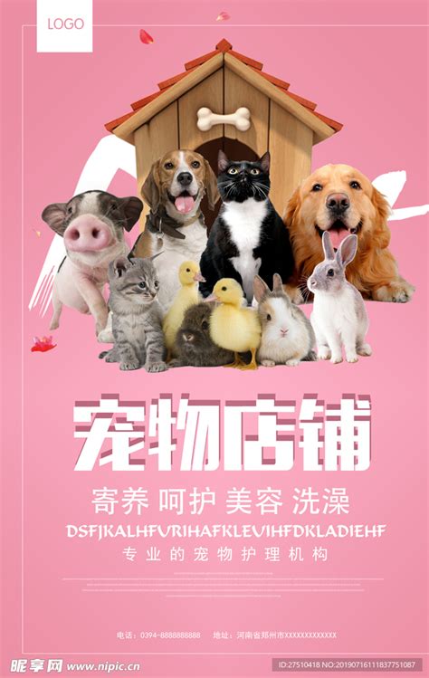宠物店店铺宣传海报图片下载_红动中国