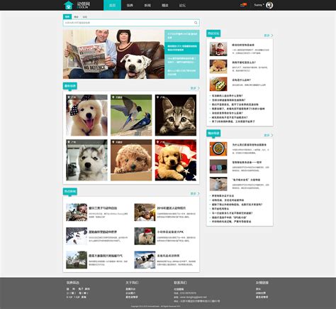 [附源码]SSM计算机毕业设计宠物狗领养网站JAVA_计算机程序源码的博客-CSDN博客