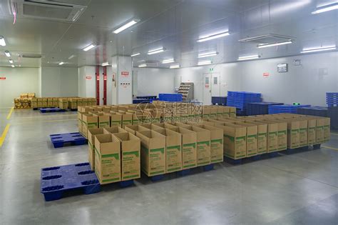 现代自动输送机生产线用于包装生产现代工厂图片-包图网企业站